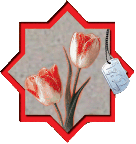 javidgholamrezaalmasi شهدا